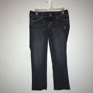 American  Eagle  Blue Artist Stretch Capri Pants